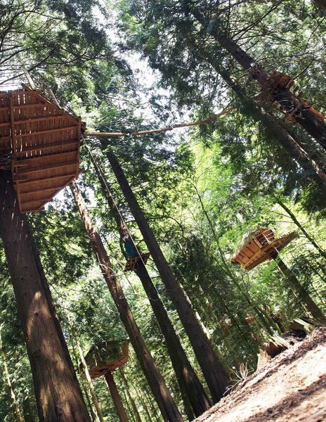 Hébergement AbracadaRoom : Cabane Tyrolienne n°4 - Image 3