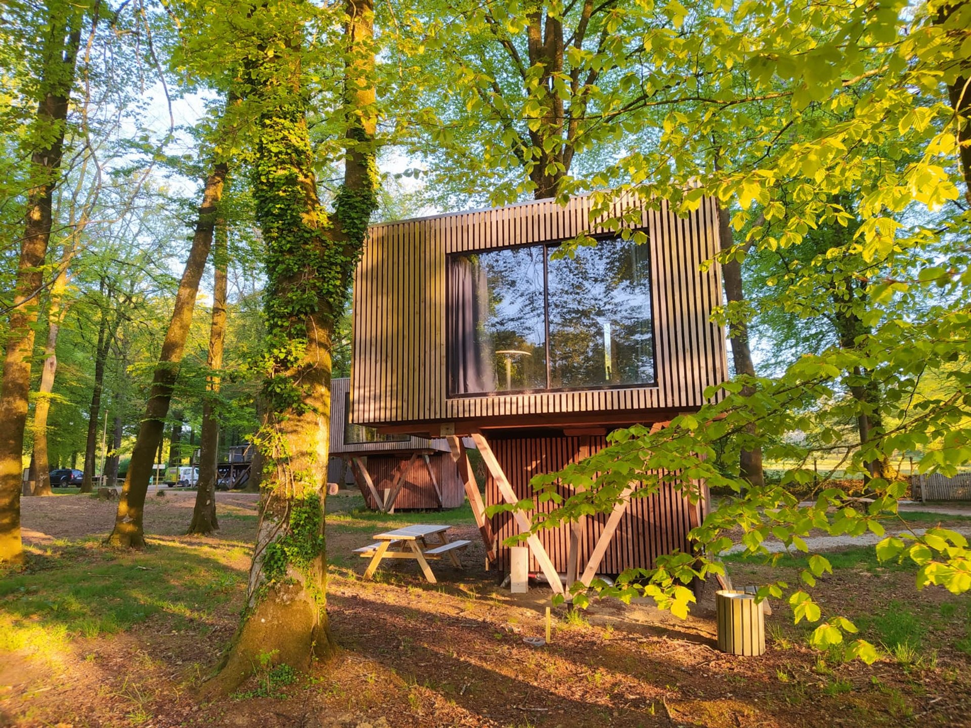 Cabane sur pilotis n°1