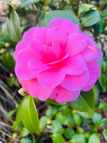 Hébergement AbracadaRoom : La Cabane Aéloria & Spa - Image 31