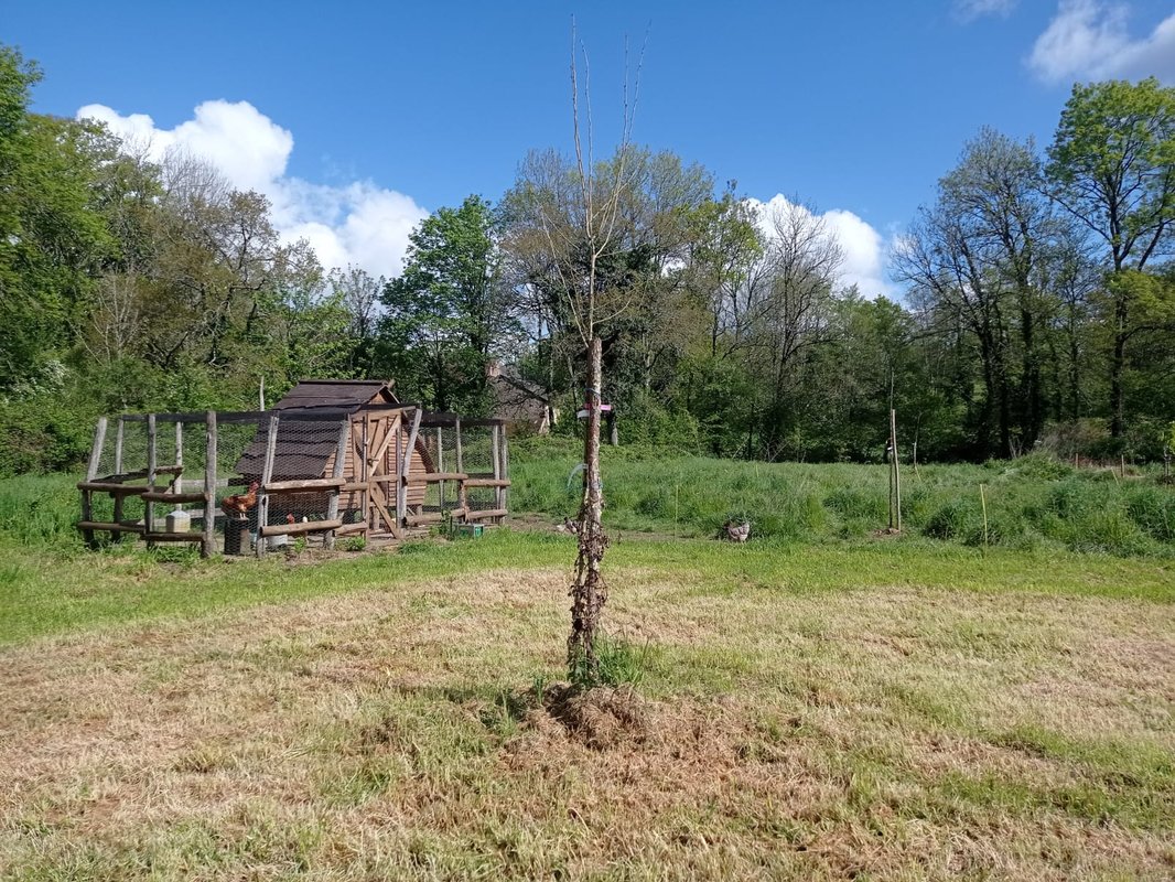 La maison "Sacquet" et son bain nordique à Saint Sulpice Les Feuilles (8)
