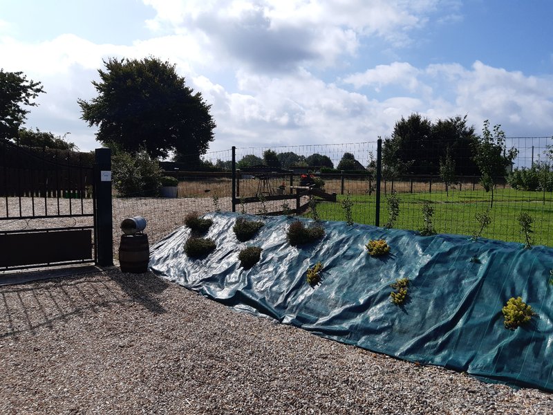 Domaine AbracadaRoom : L'insolit Ô Verger - Image 10