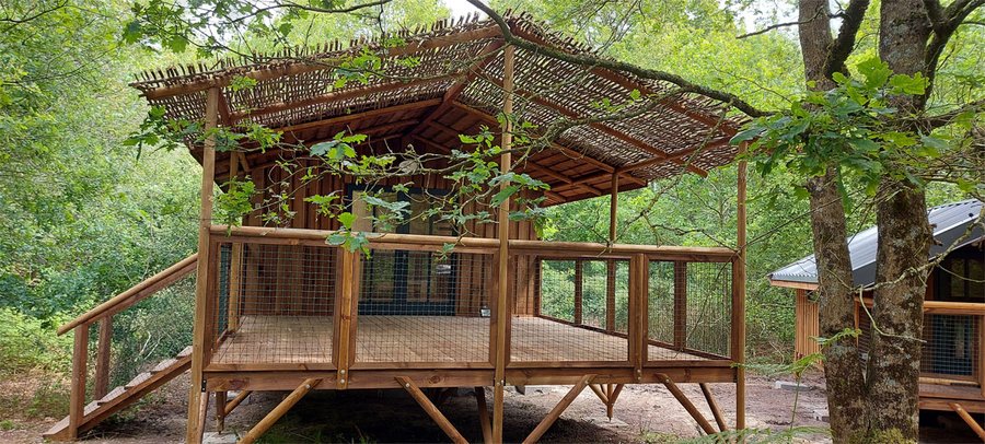 Hébergement AbracadaRoom : Cabane Cap Town - Image 5