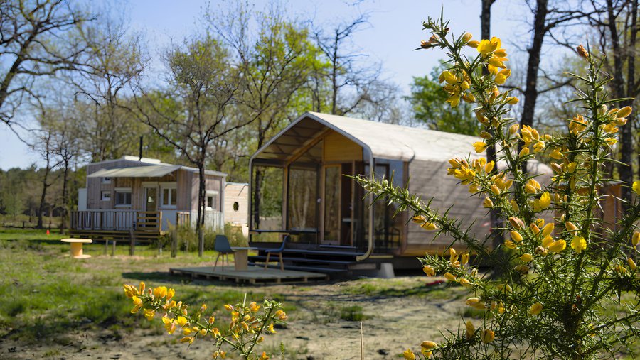 Hébergement AbracadaRoom : Wikkel House Bear - Image 1