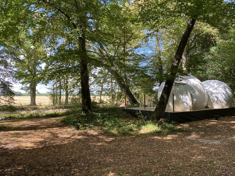 Hébergement AbracadaRoom : Bulle de l'étang - Image 14