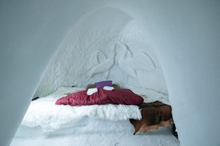 Igloo Savoie