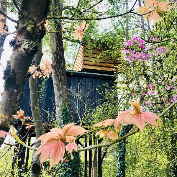 Domaine AbracadaRoom : Les Cabanes de la Presle - Image 13