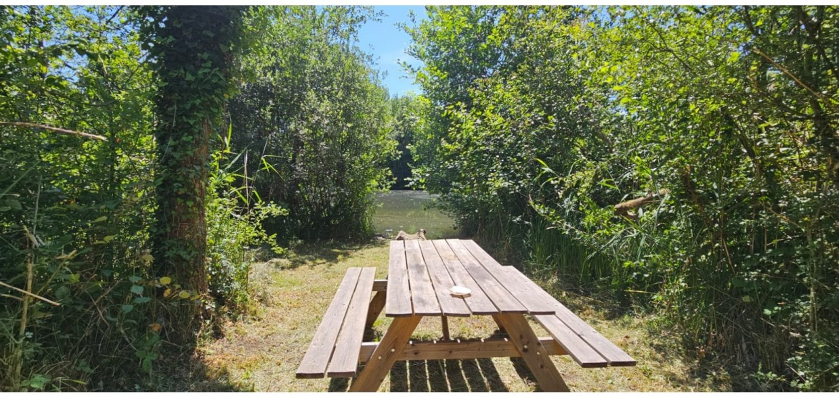 Chalet bord de l’eau · Proche provins · détente à Soisy Bouy (9)