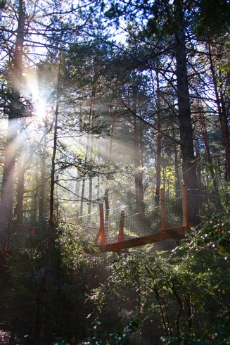 Hébergement AbracadaRoom : L’Aristoloche & Spa - Image 5