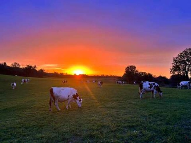 Hébergement AbracadaRoom : Les Logettes de Caroline, Ecolodge & Bain Nordique - Image 55