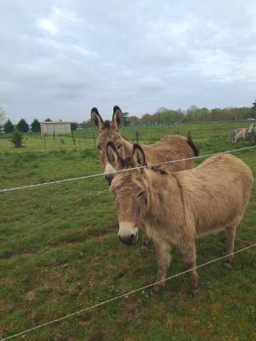 Domaine AbracadaRoom : Le Domaine du Temps Retrouvé - Image 4