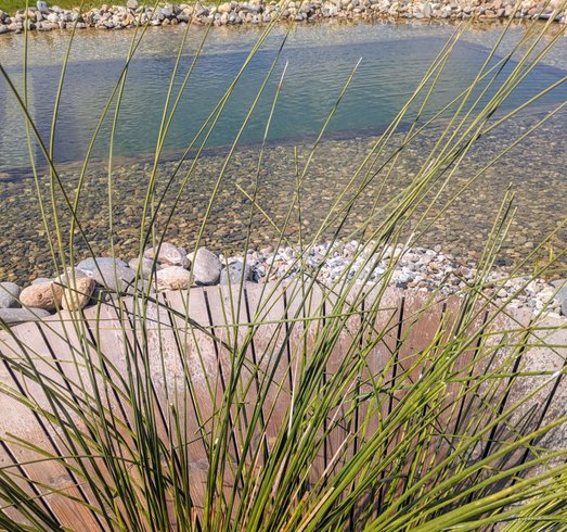 Hébergement AbracadaRoom : Dôme Shizen - Image 22