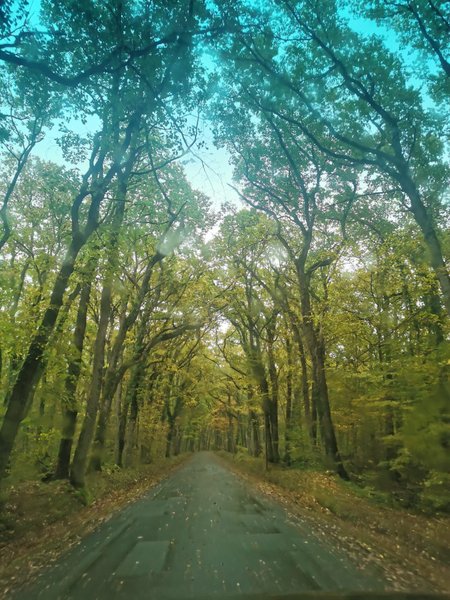 Domaine AbracadaRoom : La Ferme de Razay - Image 12