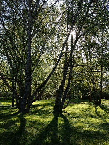 Hébergement AbracadaRoom : La Tiny House de La Rivière - Image 15