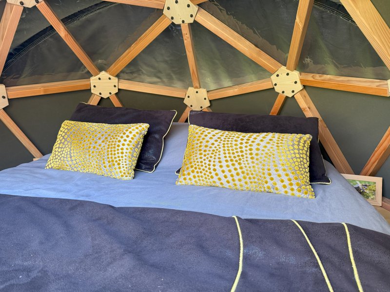 Hébergement AbracadaRoom : Dodomy House - Salamandre - Image 12