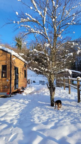 Hébergement AbracadaRoom : La Tiny House des Chevaux - Image 9