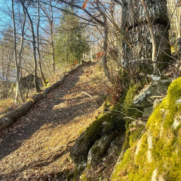 Domaine AbracadaRoom : Le Refuge d'Yzeron - Image 13