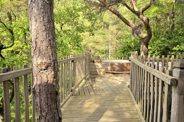 Bois d'Arambe & Spa à Serres (4)