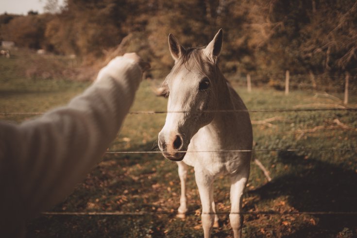 Hébergement AbracadaRoom : Sloow Cabane - Image 8