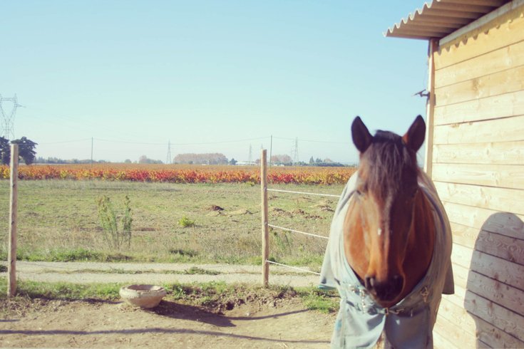 Domaine AbracadaRoom : Les Roulottes d'Yguaris - Image 14