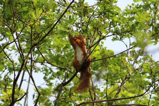 Domaine AbracadaRoom : Paley de l'éden - Image 15