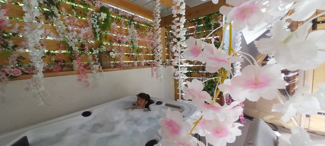 Hébergement AbracadaRoom : "M"ANON-Dôme Géodésique, piscine, spa et sauna. - Image 8