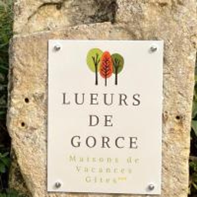 Les Figuier & spa privatif à Sainte Croix (13)