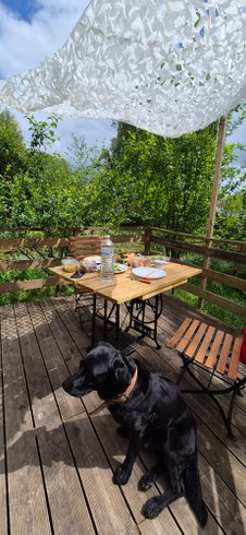 Hébergement AbracadaRoom : La tête dans les étoiles - Image 21