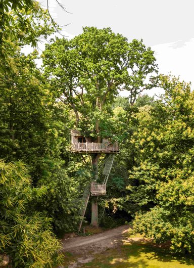 Cabanes Duo dans les Arbres à Raray