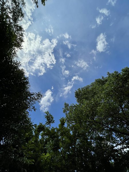 Hébergement AbracadaRoom : Bulle Spa Pégase - Image 15