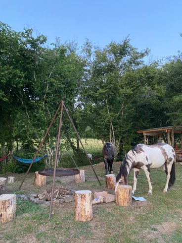 Hébergement AbracadaRoom : Tipi Lakota - Image 23