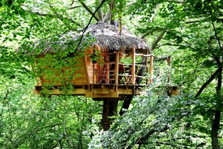 Cabane dans les arbres Seine-Maritime