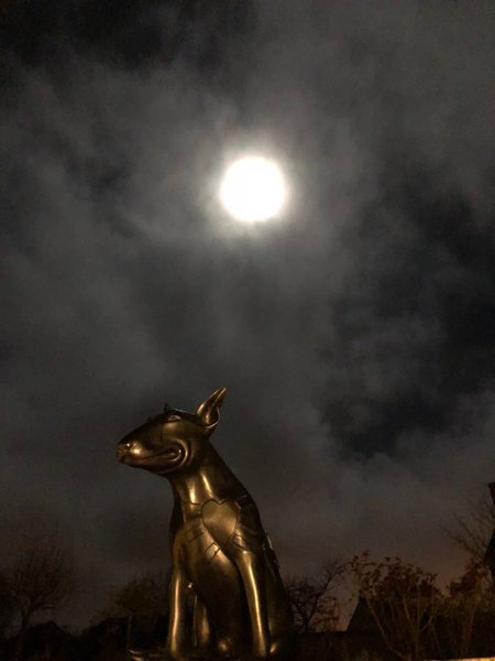 Domaine AbracadaRoom : Loire Valley Lodges - Hôtel - Image 25