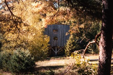 Cabane perchée Deluxe Famille avec Spa à Champdray (2)
