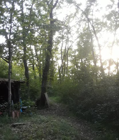 Hébergement AbracadaRoom : Le Bus du bois de Mondon - Image 8