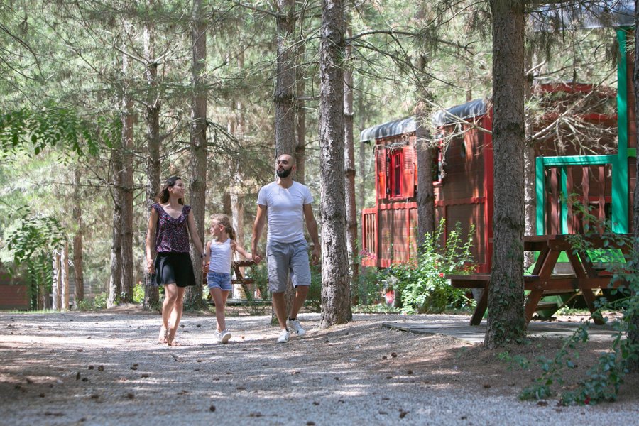 Domaine AbracadaRoom : DéfiPlanet' - Image 9