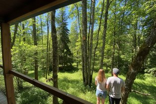 Vosges Hygge - Chalets Lodges & Spa