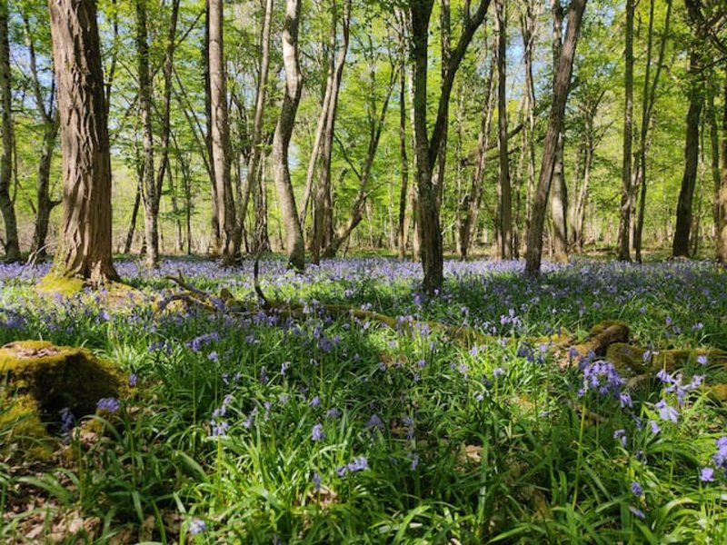 Domaine AbracadaRoom : Cabane Spa et Nature - Image 2