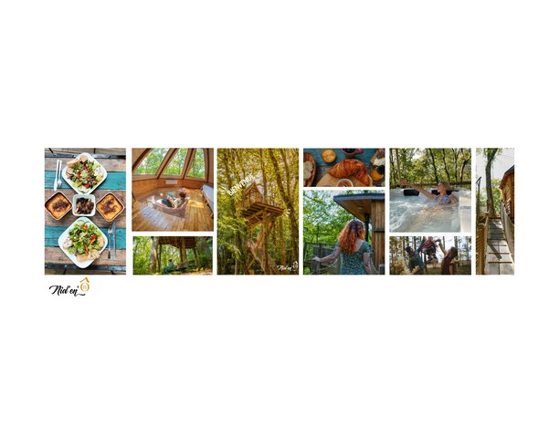 Domaine AbracadaRoom : Nid'en'Ô Les Cabanes dans les Arbres - Image 1