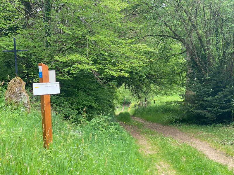 Domaine AbracadaRoom : Les terres de la chouette - Image 11