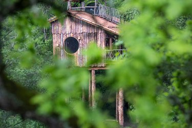 Cabane Observatoire Spa Belle Forêt à St-Léger-Aux-Bois (3)