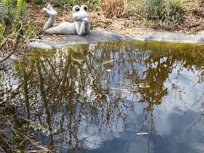 Hébergement AbracadaRoom : Cabane Spa des Baies Sauvages - Image 36