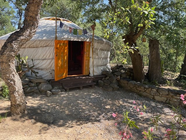 Domaine AbracadaRoom : AU SOLEIL MONGOL - Image 2