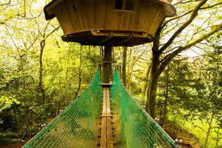Cabaña en los árboles Finistère