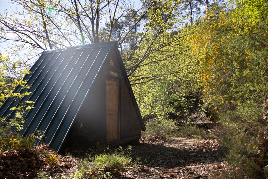 La Cabane Forestière — photo 2
