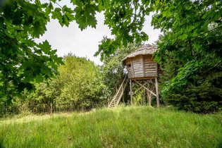 Cabane dans les arbres Gers