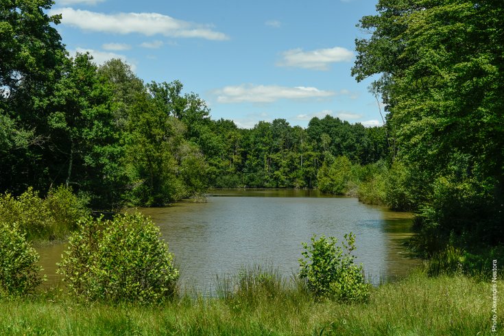 Domaine AbracadaRoom : Les Blots - Image 1