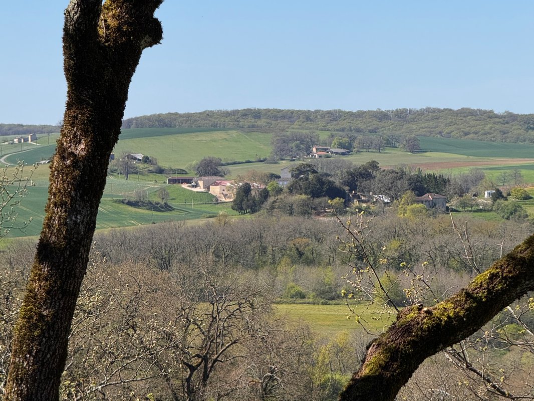 La Cabane Tchanquée à Marsolan (13)