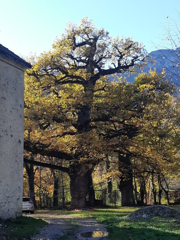 Château de Rivoiranche Gîte à Saint Paul Les Monestier (22)