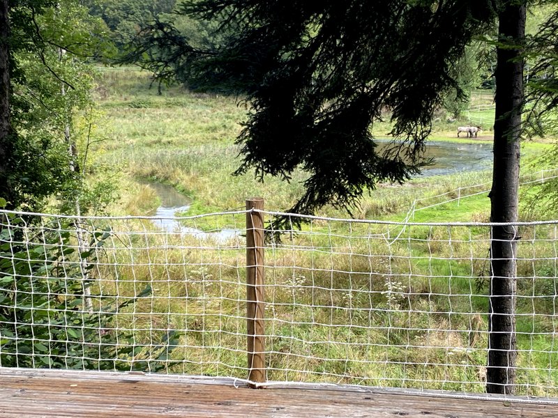 Hébergement AbracadaRoom : Cassiopée & Spa : Dôme Géodésique pour nuitée à la belle étoile - Image 14
