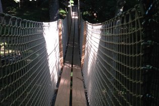 Domaine de Saint Jean